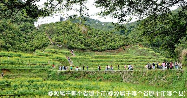 婺源属于哪个省哪个市(婺源属于哪个省哪个市哪个县)