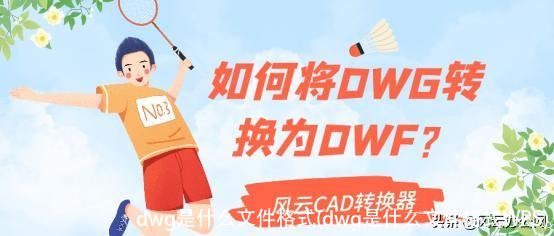 dwg是什么文件格式(dwg是什么文件格式WPS)