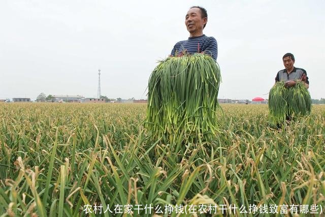 农村人在家干什么挣钱(在农村干什么挣钱致富有哪些)