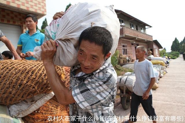 农村人在家干什么挣钱(在农村干什么挣钱致富有哪些)