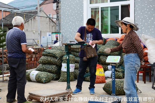 农村人在家干什么挣钱(在农村干什么挣钱致富有哪些)