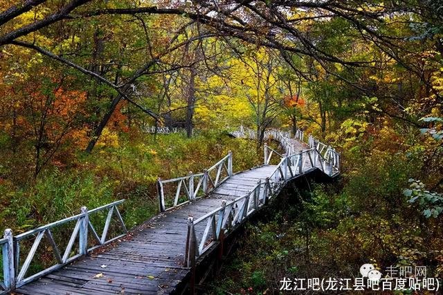 龙江吧(龙江县吧百度贴吧)