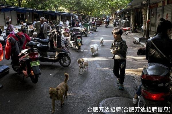 合肥万达招聘(合肥万达招聘信息)