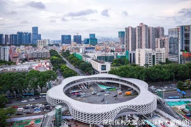 深圳保利大厦(深圳保利大厦房价)