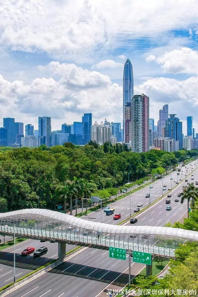 深圳保利大厦(深圳保利大厦房价)