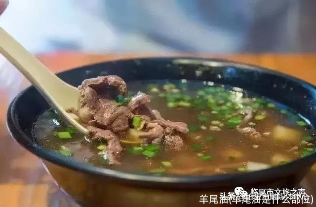 羊尾油(羊尾油是什么部位)