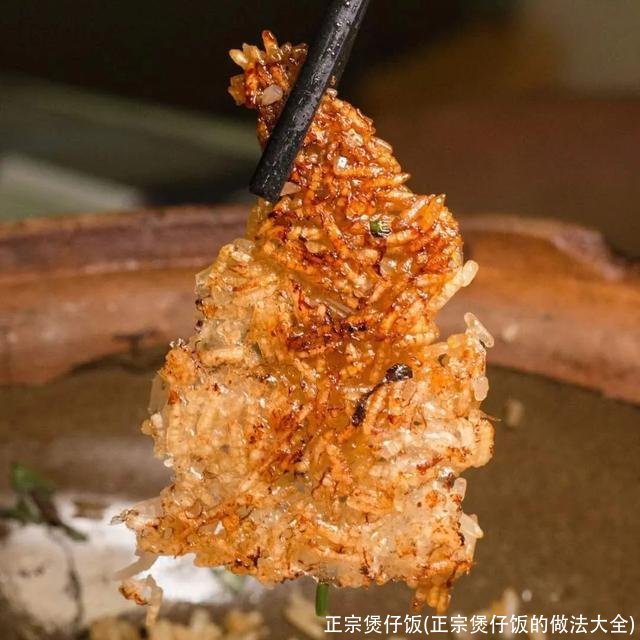 正宗煲仔饭(正宗煲仔饭的做法大全)