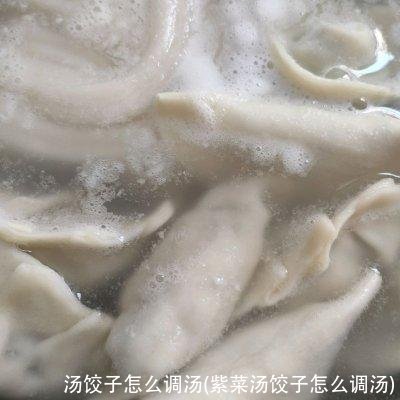 汤饺子怎么调汤(紫菜汤饺子怎么调汤)