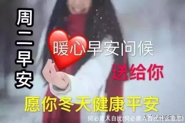 何必庸人自扰(何必庸人自扰什么意思)