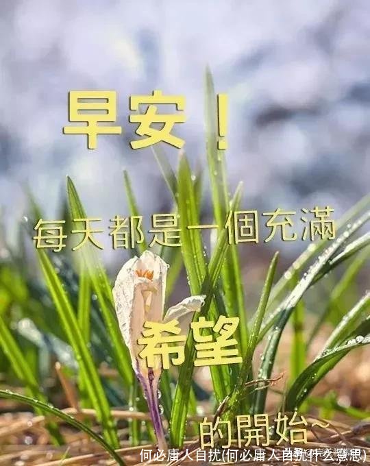 何必庸人自扰(何必庸人自扰什么意思)