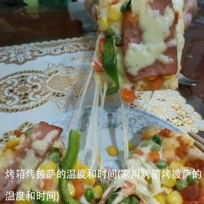 烤箱烤披萨的温度和时间(家用烤箱烤披萨的温度和时间)