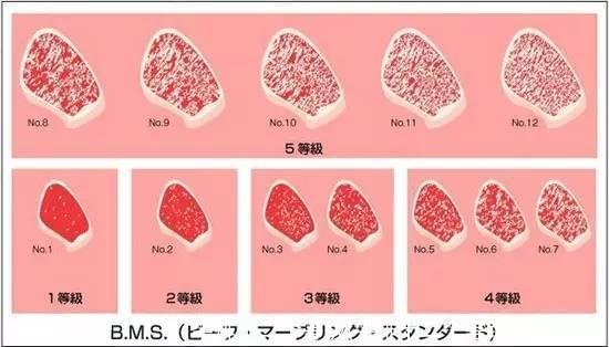 牛排十二个等级(牛排十二个等级肉眼战斧)