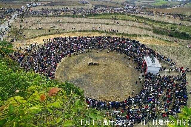 十月十日是什么日子(十月十日是什么日子)