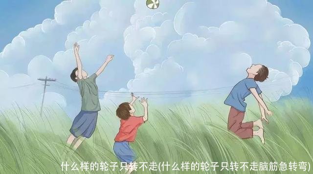 什么样的轮子只转不走(什么样的轮子只转不走脑筋急转弯)