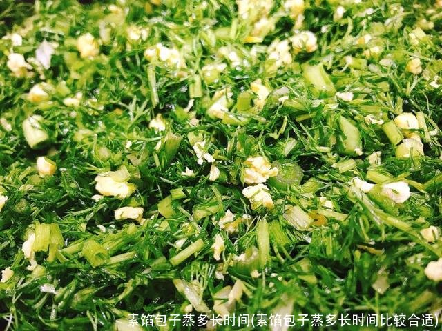 素馅包子蒸多长时间(素馅包子蒸多长时间比较合适)