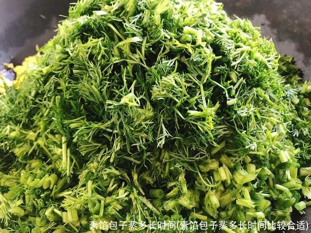 素馅包子蒸多长时间(素馅包子蒸多长时间比较合适)