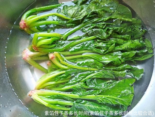 素馅包子蒸多长时间(素馅包子蒸多长时间比较合适)