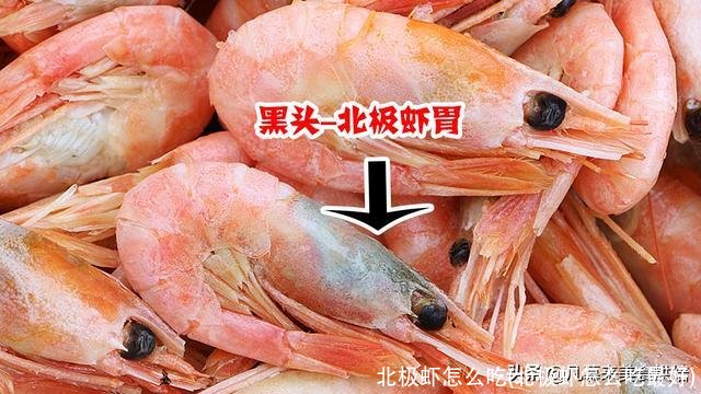 北极虾怎么吃(北极虾怎么吃最好)