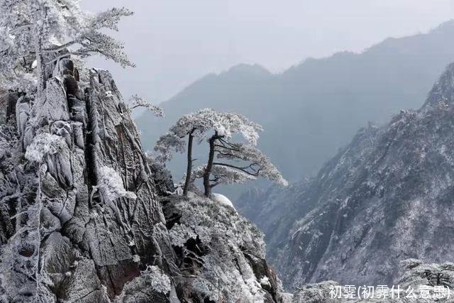 初霁(初霁什么意思)