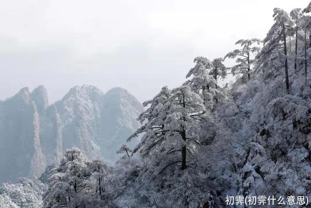 初霁(初霁什么意思)