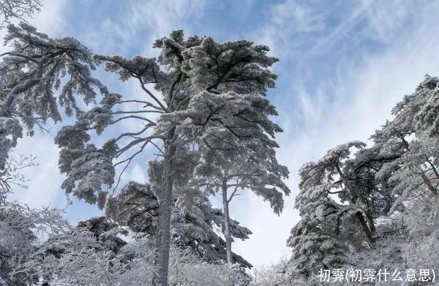 初霁(初霁什么意思)