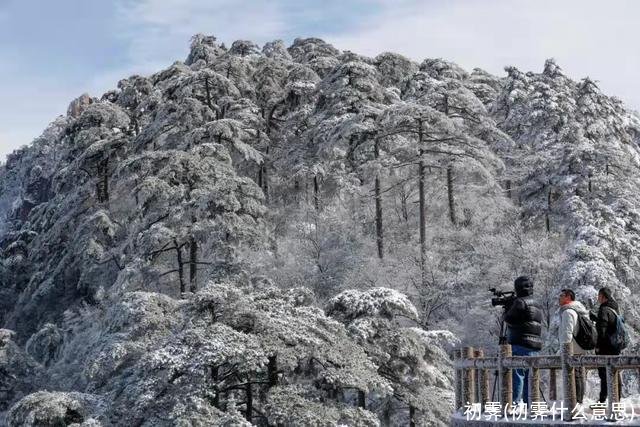 初霁(初霁什么意思)