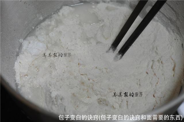 包子变白的诀窍(包子变白的诀窍和面需要的东西)