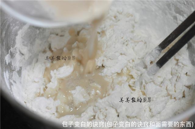 包子变白的诀窍(包子变白的诀窍和面需要的东西)