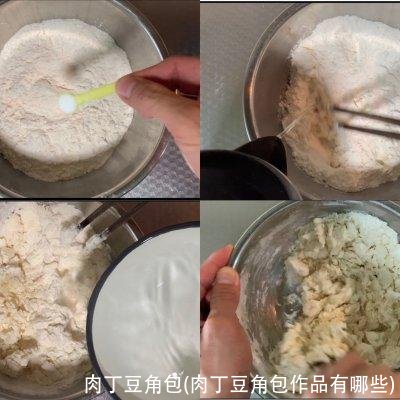 肉丁豆角包(肉丁豆角包作品有哪些)