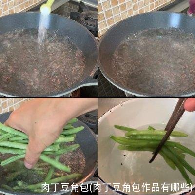 肉丁豆角包(肉丁豆角包作品有哪些)