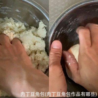 肉丁豆角包(肉丁豆角包作品有哪些)