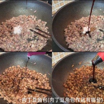 肉丁豆角包(肉丁豆角包作品有哪些)