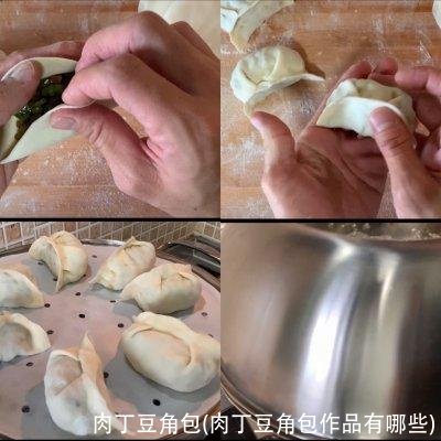 肉丁豆角包(肉丁豆角包作品有哪些)