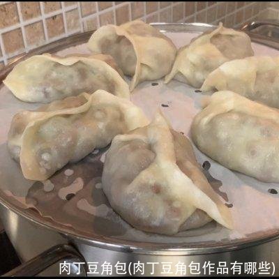 肉丁豆角包(肉丁豆角包作品有哪些)