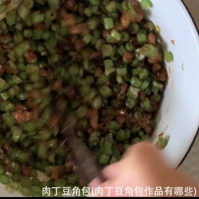 肉丁豆角包(肉丁豆角包作品有哪些)