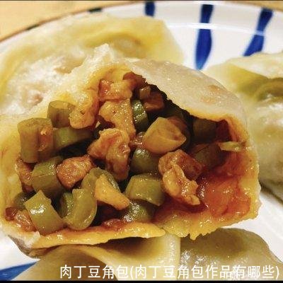 肉丁豆角包(肉丁豆角包作品有哪些)