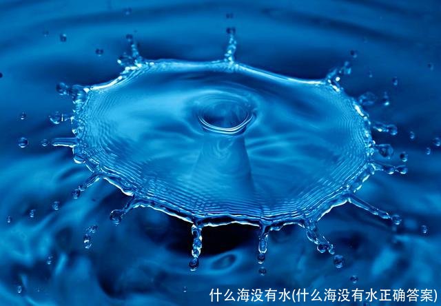 什么海没有水(什么海没有水正确答案)