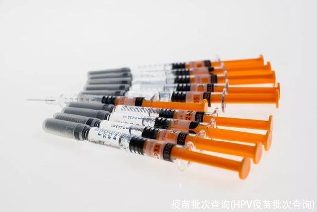 疫苗批次查询(HPV疫苗批次查询)