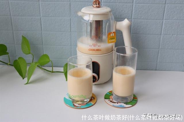 什么茶叶做奶茶好(什么茶叶做奶茶好喝)