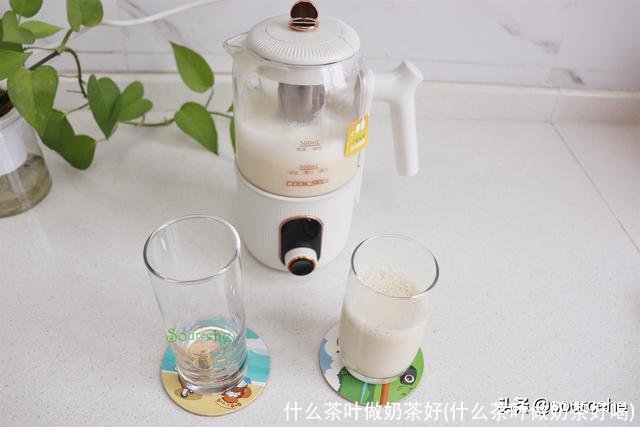 什么茶叶做奶茶好(什么茶叶做奶茶好喝)