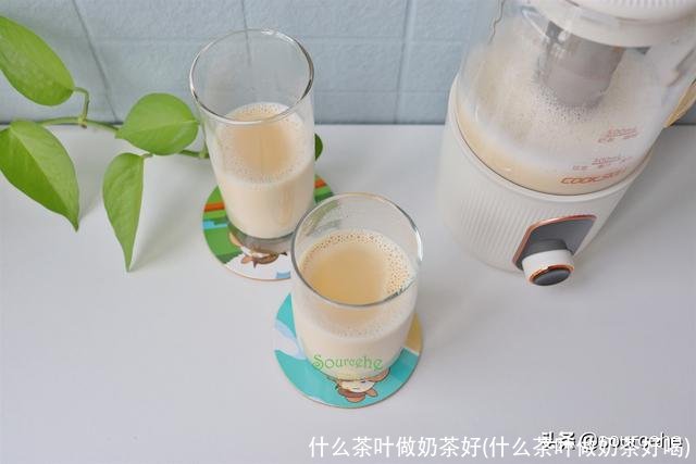 什么茶叶做奶茶好(什么茶叶做奶茶好喝)