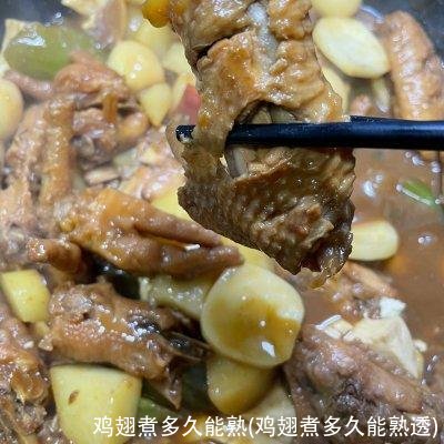 鸡翅煮多久能熟(鸡翅煮多久能熟透)