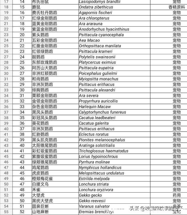 动物分类(动物分类有哪几大类)