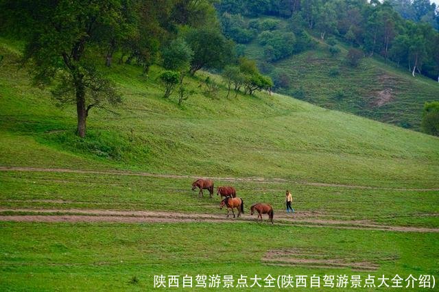 陕西自驾游景点大全(陕西自驾游景点大全介绍)