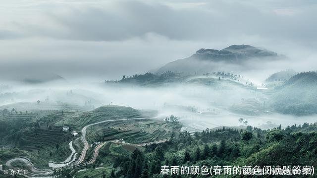 春雨的颜色(春雨的颜色阅读题答案)