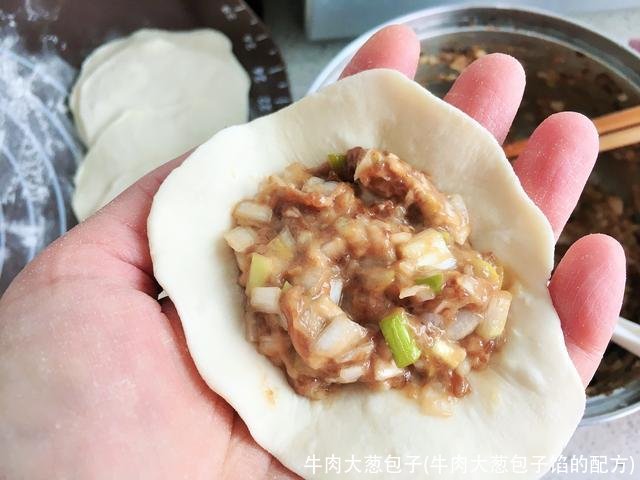 牛肉大葱包子(牛肉大葱包子馅的配方)