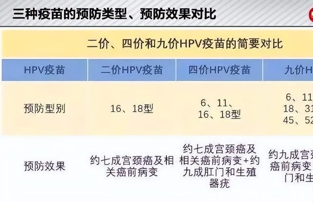 贵司(贵司是什么意思)