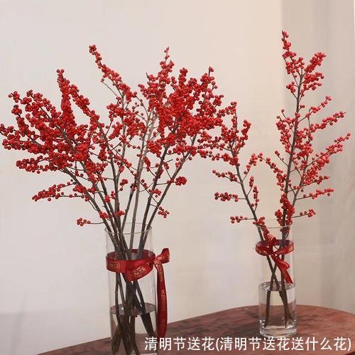 清明节送花(清明节送花送什么花)