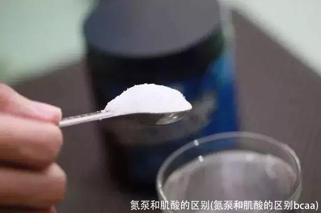 氮泵和肌酸的区别(氮泵和肌酸的区别bcaa)