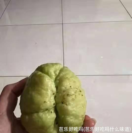 芭乐好吃吗(芭乐好吃吗什么味道)